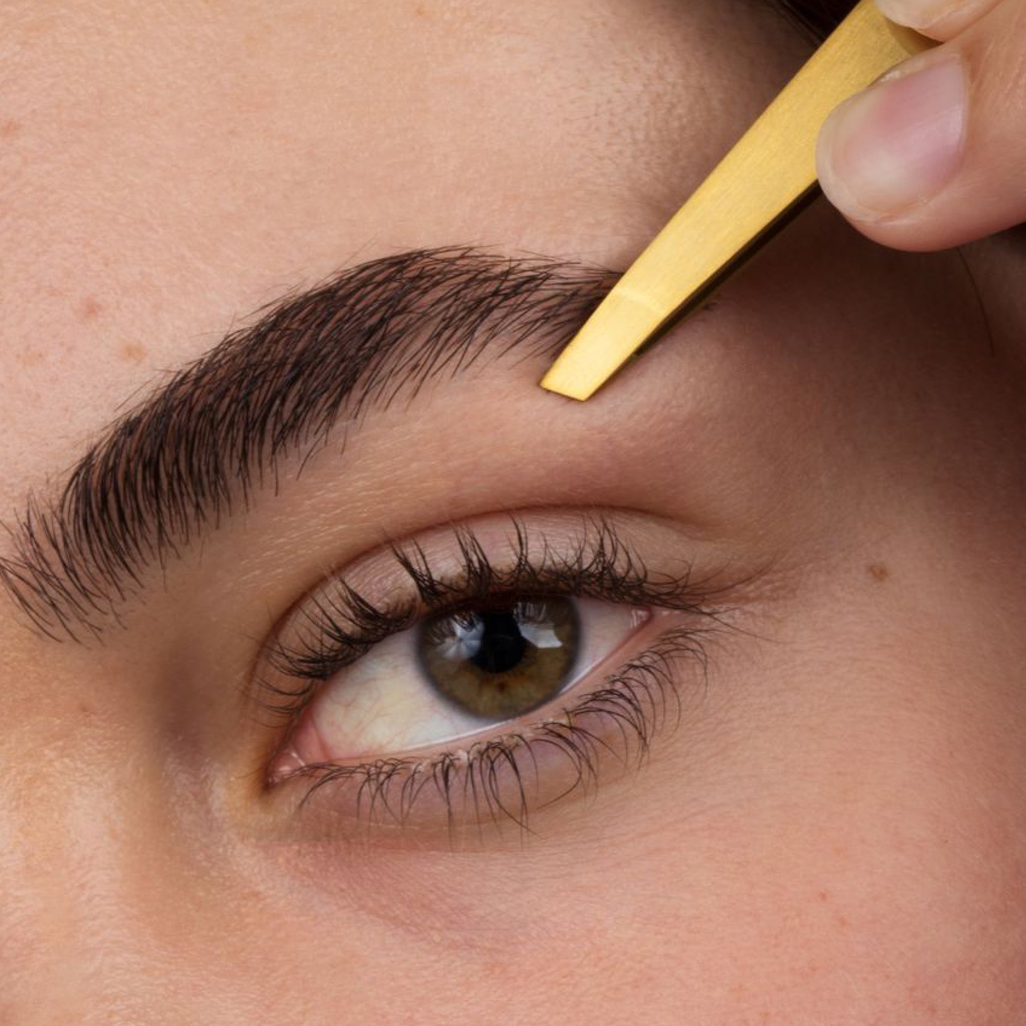 terraeyebrows_0428b364-2e04-