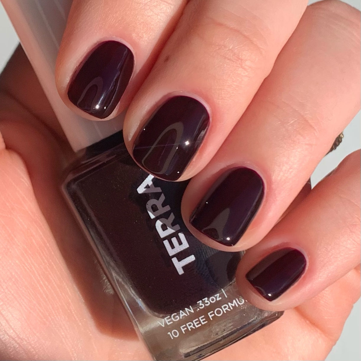 Buy Oxblood Burgundy Red Vegan Nail Polish Deep Blood Red Creme Polish  Empire State of Mind Online in India - Etsy